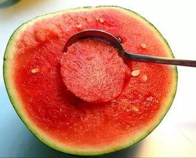 宠爱小玫瑰 吃瓜 lofte,吃瓜Loft里的甜蜜日常