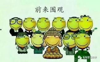 吃瓜群众写文字,吃瓜群众眼中的明星生活