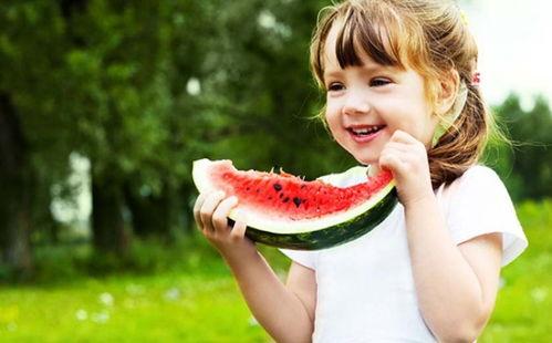 雪球吃瓜小说,一场奇幻冒险的甜蜜诱惑