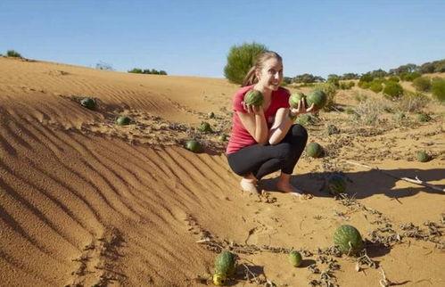 最新吃瓜视频大漠瓜客