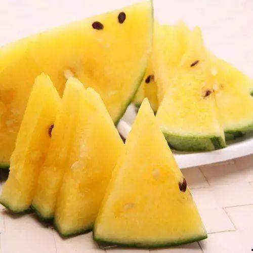 广州华夏吃瓜,探寻美食瓜子的魅力之旅