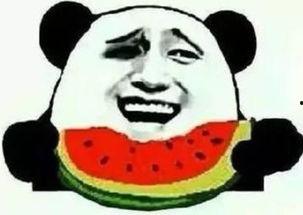 二狗子吃瓜群众,揭秘网络舆论场的众生相