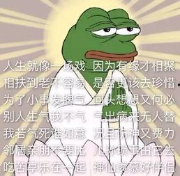 佛系吃瓜状态,静观娱乐圈风云变幻