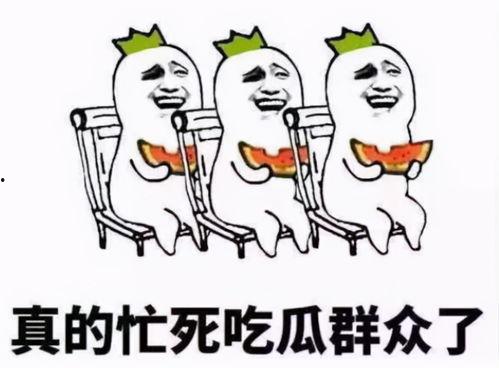 小花吃瓜群众,吃瓜群众的视角解读娱乐圈风云