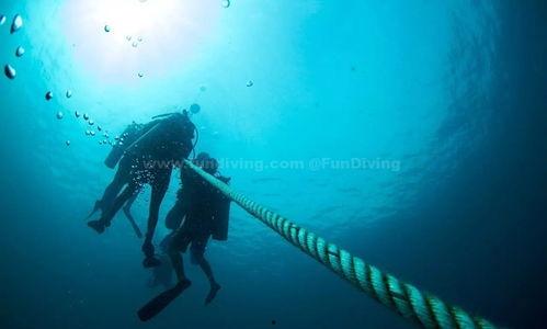 吃瓜潜水抬杠,揭秘网络舆论场的真实面貌