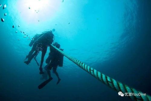 吃瓜潜水抬杠,揭秘网络舆论场的真实面貌