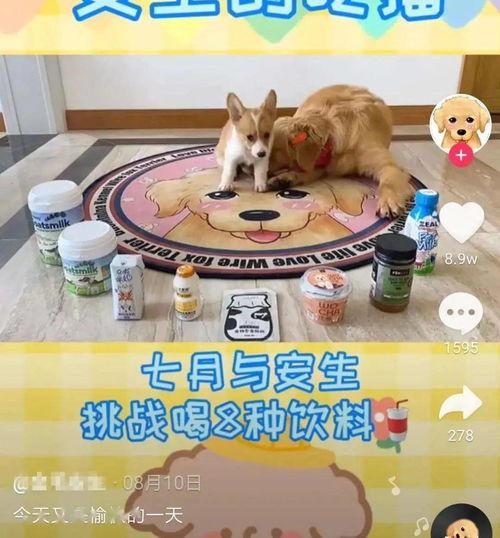 吃瓜博主柔柔,揭秘娱乐圈那些不为人知的幕后故事