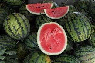 活手瓜怎么吃,探索美味与健康的完美结合