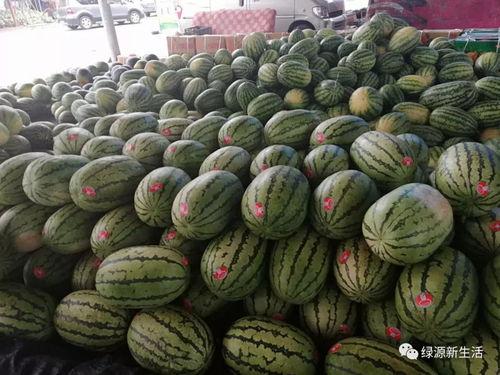 活手瓜怎么吃,探索美味与健康的完美结合