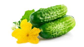 吃生瓜减肥,轻松享“瘦”，健康生活新选择