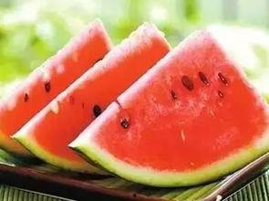 南京交院视频吃瓜,揭秘校园生活趣味瞬间